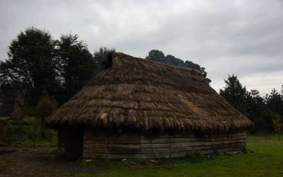 El regreso del Sol: Wiñon Antü y su importancia en el Pueblo Mapuche