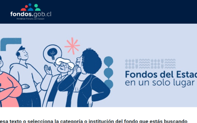 Fondos del Estado – Postulación a Proyectos