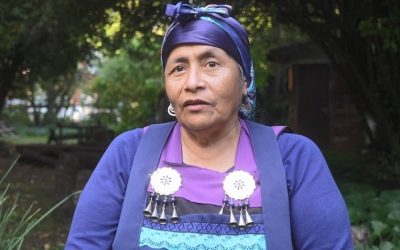 La historia de nuestro Pueblo Mapuche desde la cocina”: Anita Epulef tras el éxito del Primer Festival de Gastronomía Mapuche