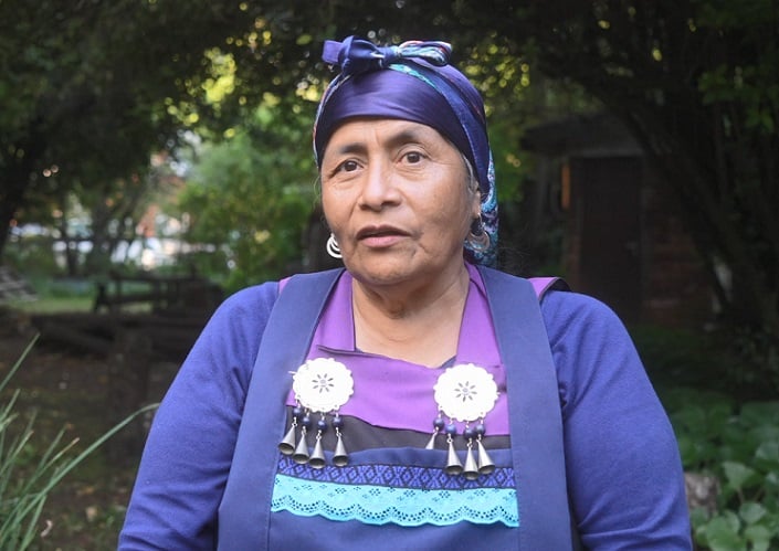 La historia de nuestro Pueblo Mapuche desde la cocina”: Anita Epulef tras el éxito del Primer Festival de Gastronomía Mapuche