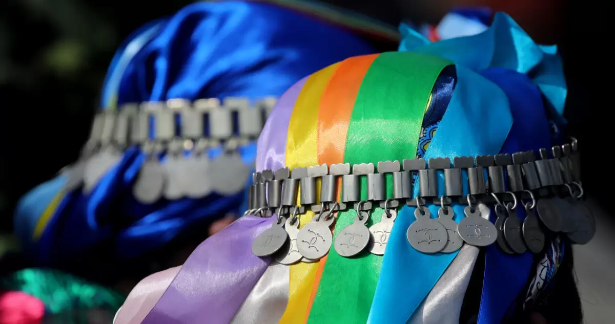 Gobierno anuncia suspensión «momentánea» de consulta indígena para sistema de tierras mapuches