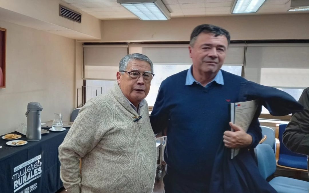 Participación en Reuniones en Santiago