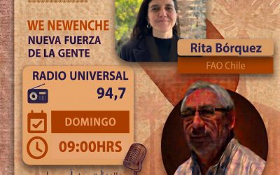Programa 13-09-2026 Rita Borquez